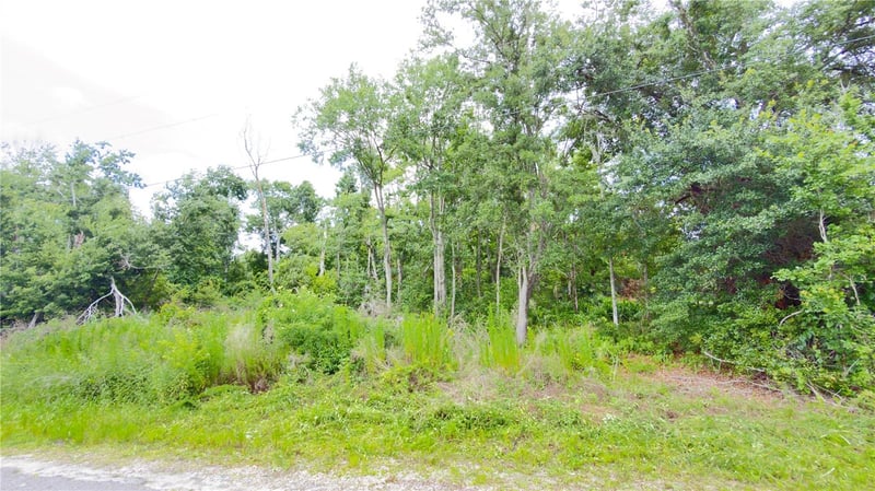 7402 Land Dr, Wesley Chapel, FL 33545