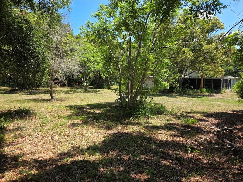 3810 Lumsden Rd, Valrico, FL 33594