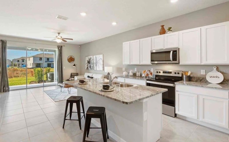 32202 Turtle Grace Loop, Wesley Chapel, FL 33545