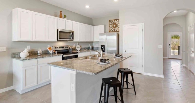 32202 Turtle Grace Loop, Wesley Chapel, FL 33545
