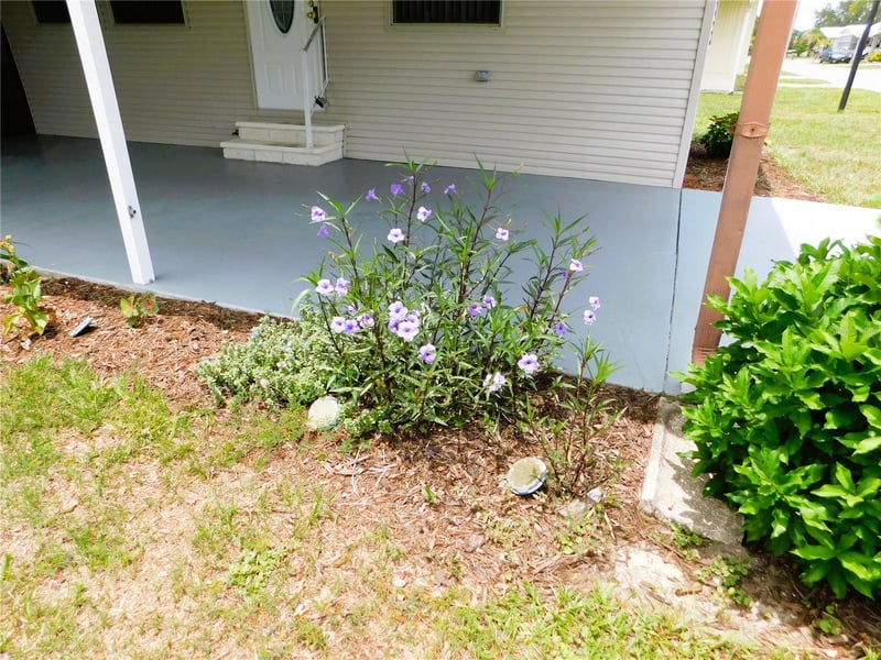 5315 Antigua Dr, Zephyrhills, FL 33541