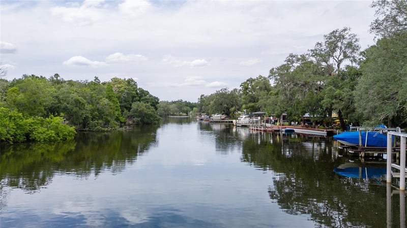 7308 Ola Ave, Tampa, FL 33604