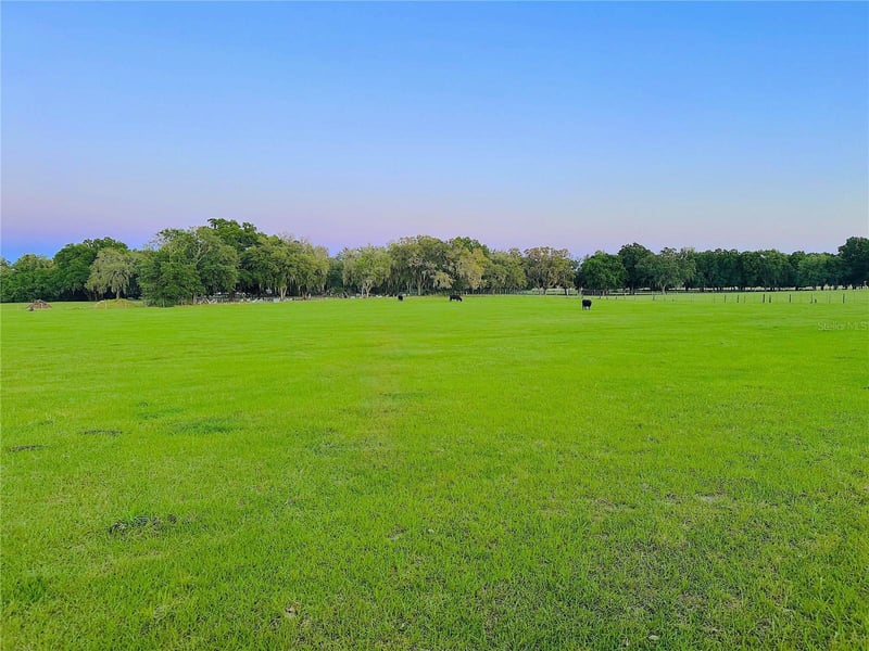 10710 Mcintosh Rd, Thonotosassa, FL 33592