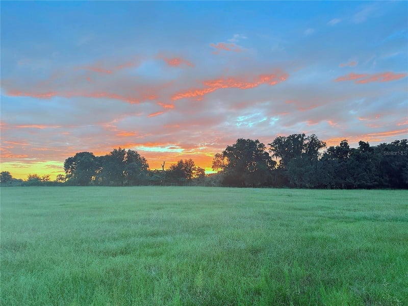 10710 Mcintosh Rd, Thonotosassa, FL 33592