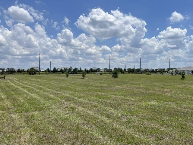 15202 Patterson Rd, Odessa, FL 33556