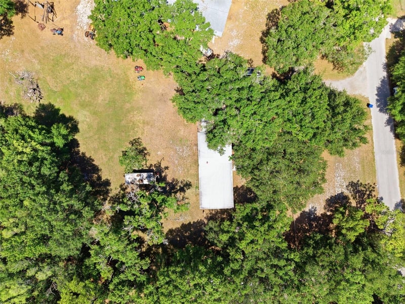 17214 Chinaberry Rd, Lutz, FL 33558