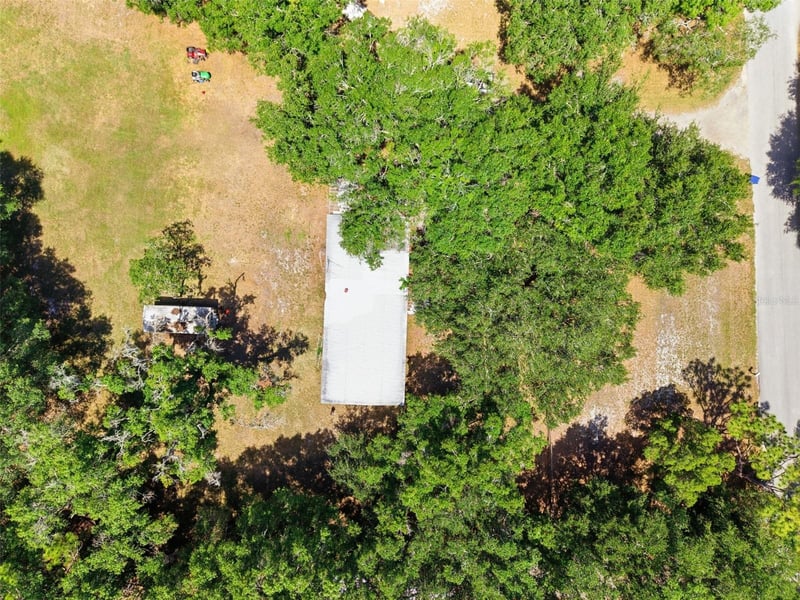 17214 Chinaberry Rd, Lutz, FL 33558