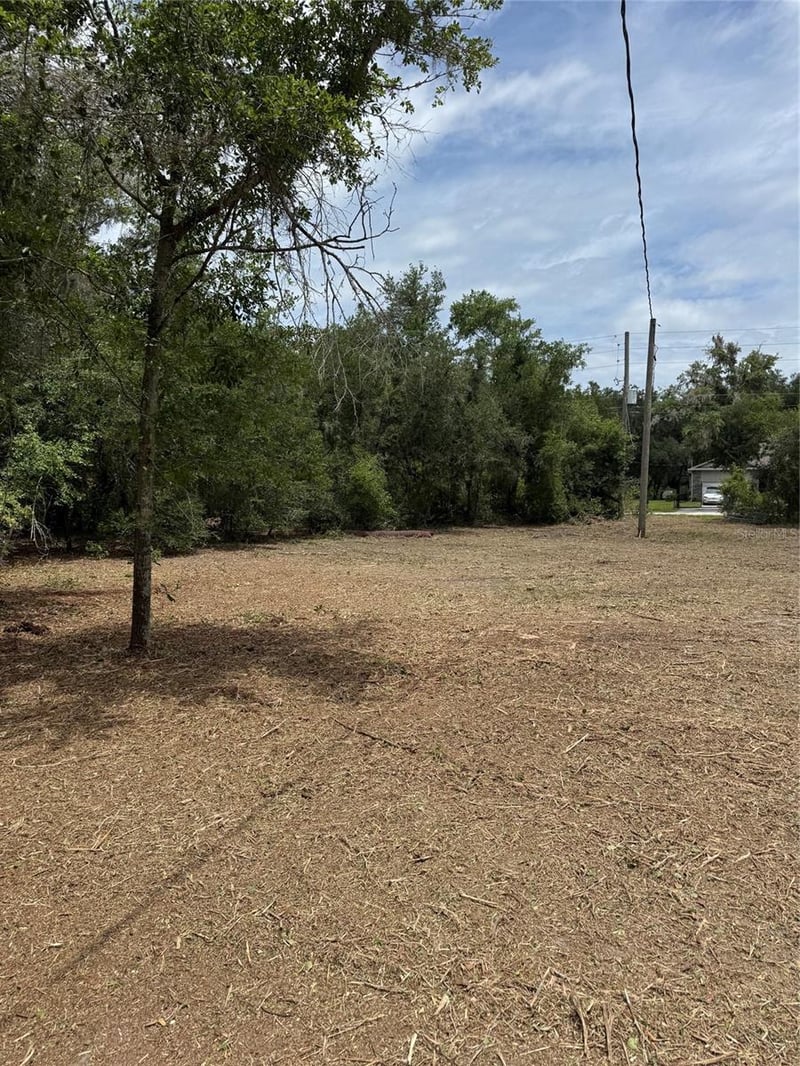 3101 Bruton Rd, Plant City, FL 33565