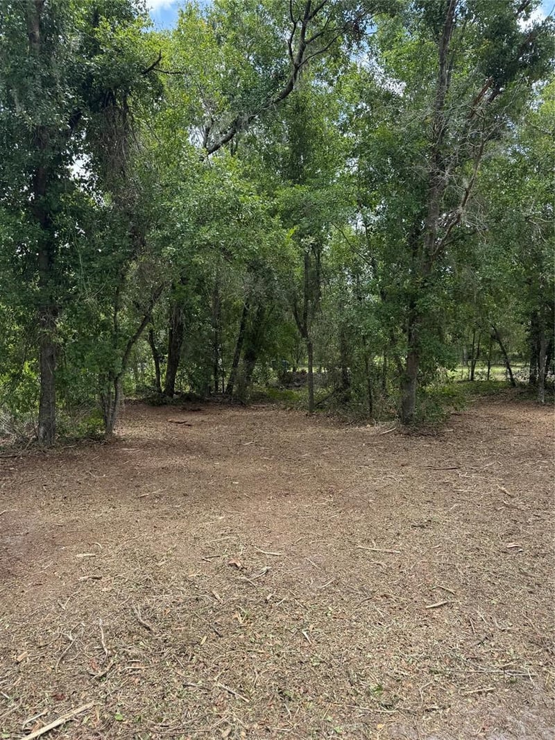 3101 Bruton Rd, Plant City, FL 33565