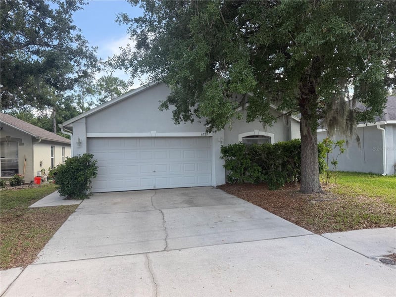 6529 Tabogi Trl, Wesley Chapel, FL 33545