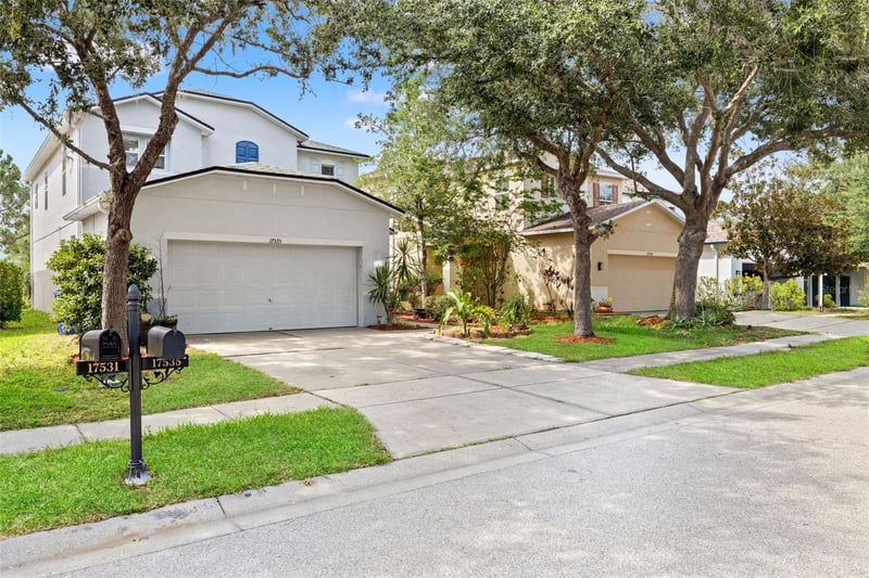 17535 Balmaha Dr, Land O Lakes, FL 34638