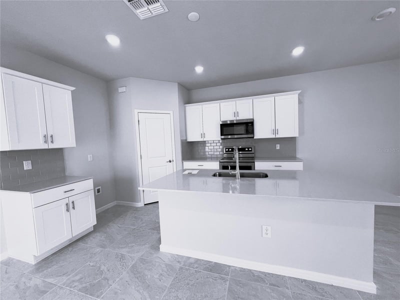 19646 Shady Oak Dr, Land O Lakes, FL 34638