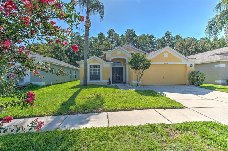 30914 Burleigh Dr, Wesley Chapel, FL 33543