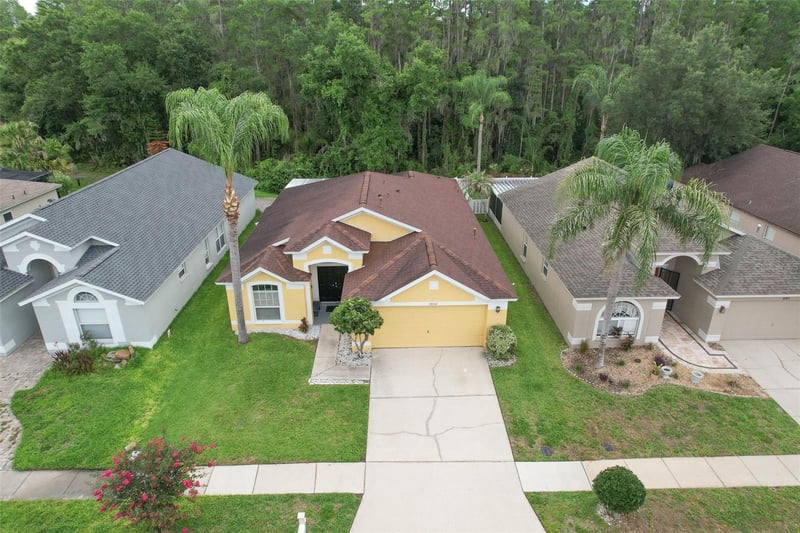 30914 Burleigh Dr, Wesley Chapel, FL 33543