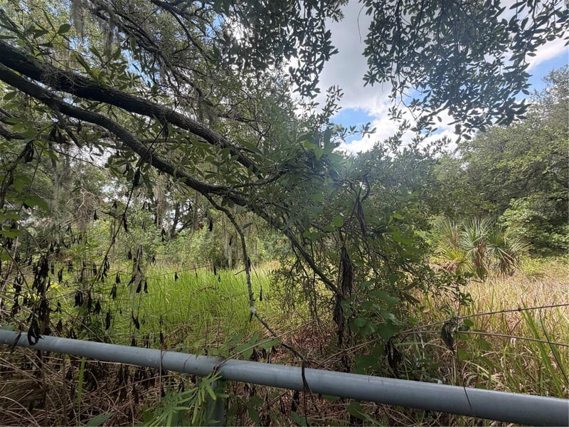 4447 Edwards Rd, Plant City, FL 33567
