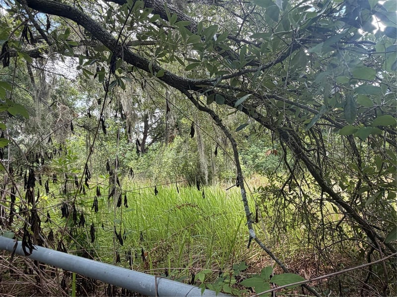 4447 Edwards Rd, Plant City, FL 33567