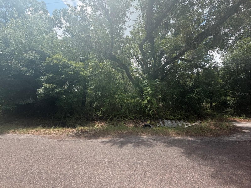 4447 Edwards Rd, Plant City, FL 33567