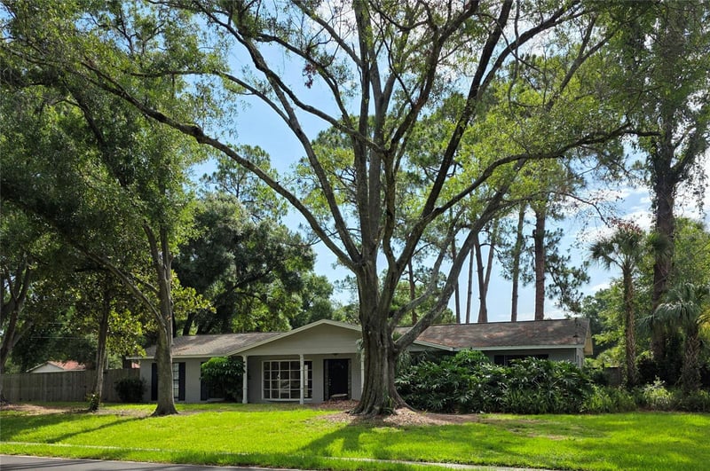 8313 Pat Blvd, Tampa, FL 33615