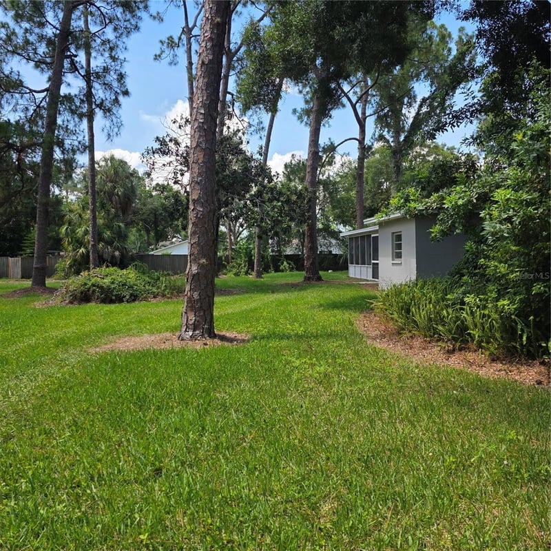 8313 Pat Blvd, Tampa, FL 33615