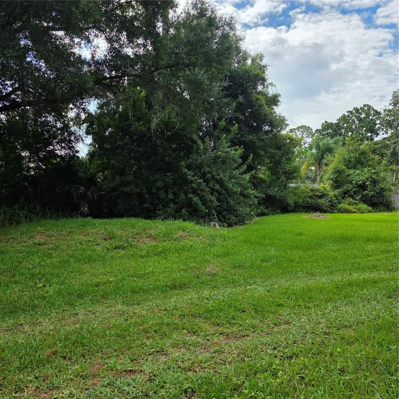 8313 Pat Blvd, Tampa, FL 33615