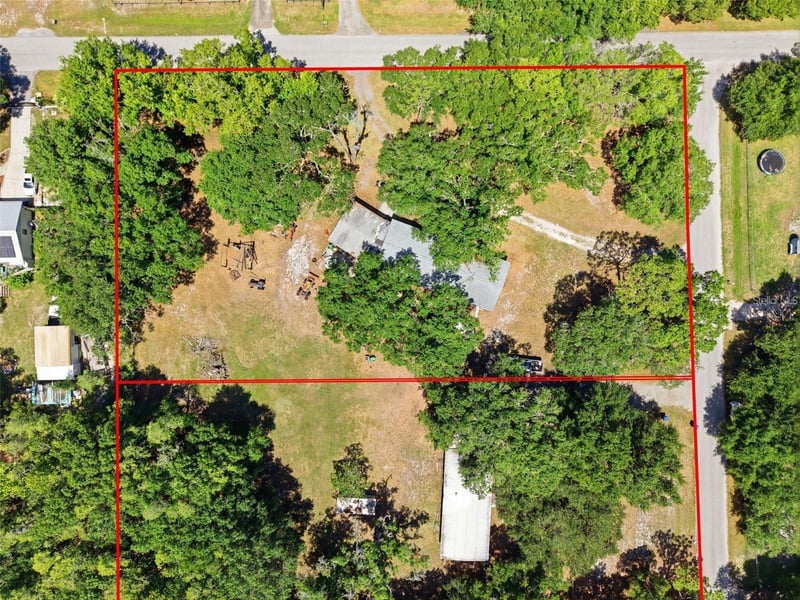 1136 Wildwood Ln, Lutz, FL 33558