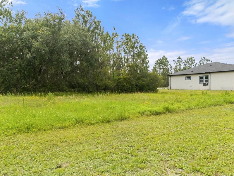 8017 Woodleaf Blvd, Wesley Chapel, FL 33544