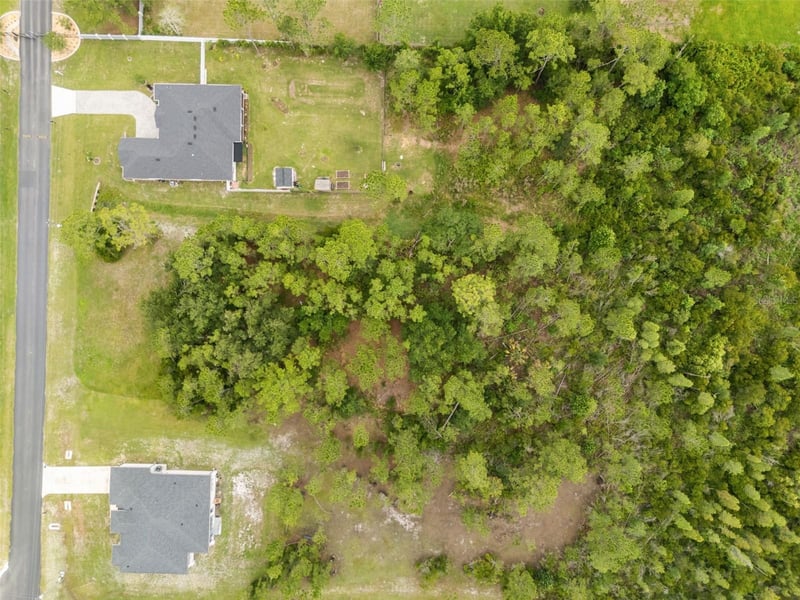 8017 Woodleaf Blvd, Wesley Chapel, FL 33544