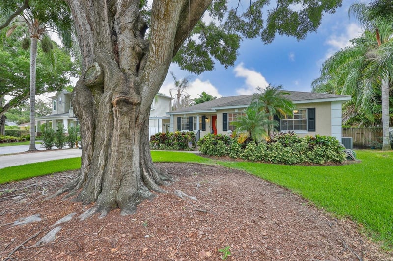 3414 San Luis St, Tampa, FL 33629