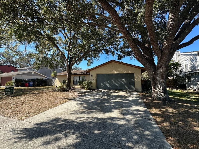 4305 Ellenville Pl, Valrico, FL 33596
