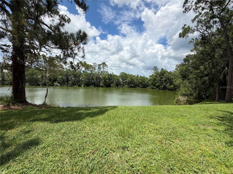15637 Morning Dr, Lutz, FL 33559