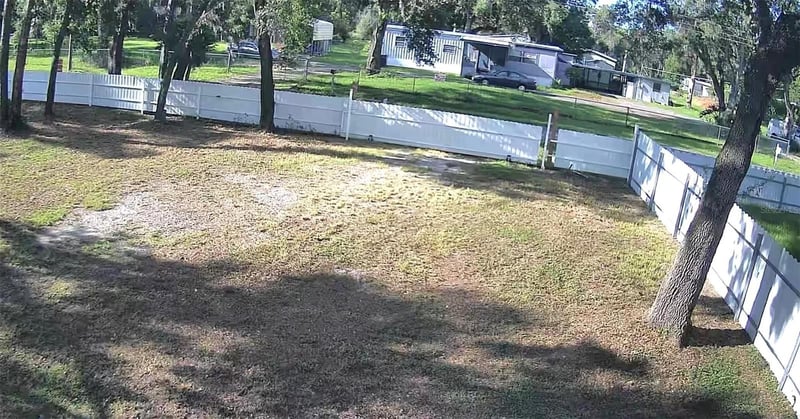 11310 Brightridge Dr, Seffner, FL 33584