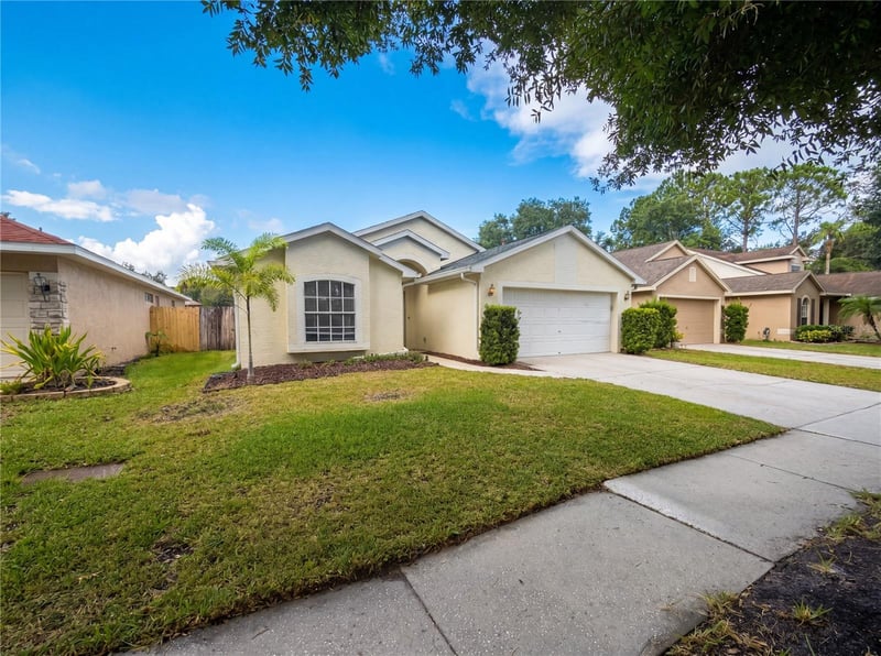 4532 Perdita Ln, Lutz, FL 33558