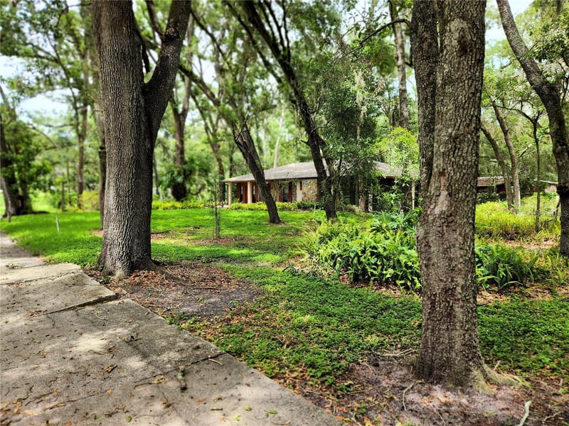 11318 Brightwood Dr, Seffner, FL 33584