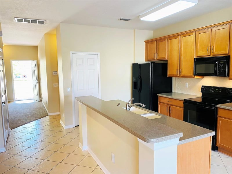 17449 Stinchar Dr, Land O Lakes, FL 34638