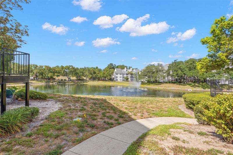 3310 Haviland Ct #104, Palm Harbor, FL 34684