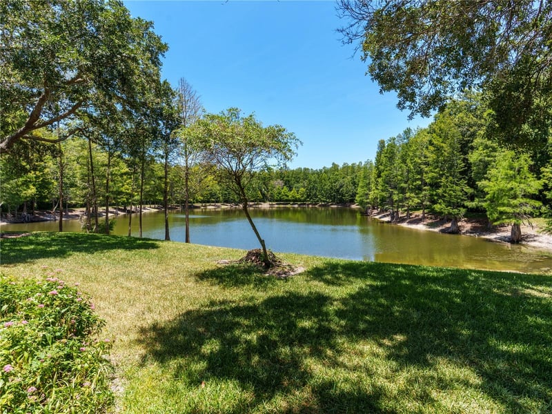 7207 Sharpsburg Blvd, New Port Richey, FL 34653