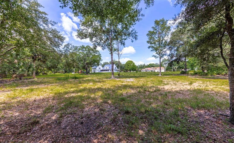 8844 Shenandoah Rn, Wesley Chapel, FL 33544