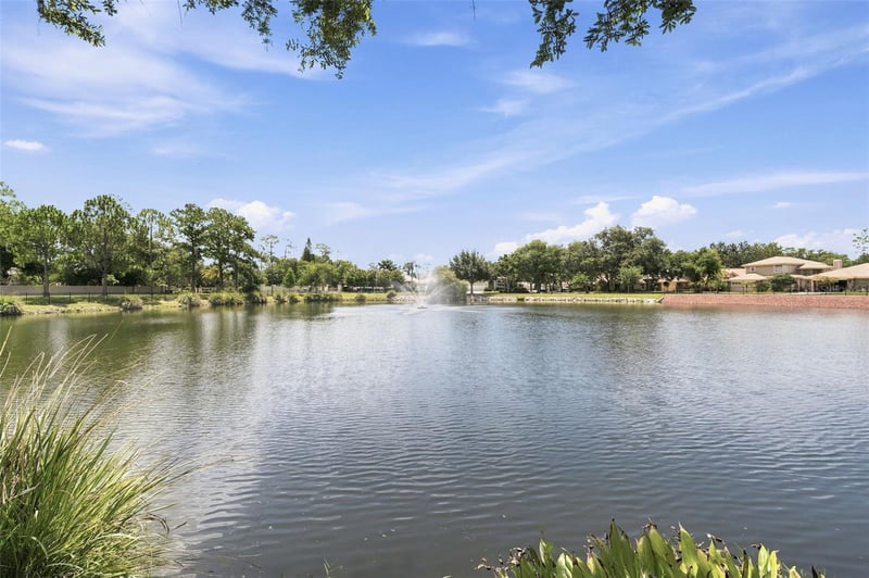 1469 Riverdale Dr, Oldsmar, FL 34677