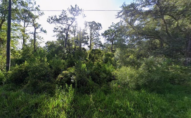 Atlee St, New Port Richey, FL 34654