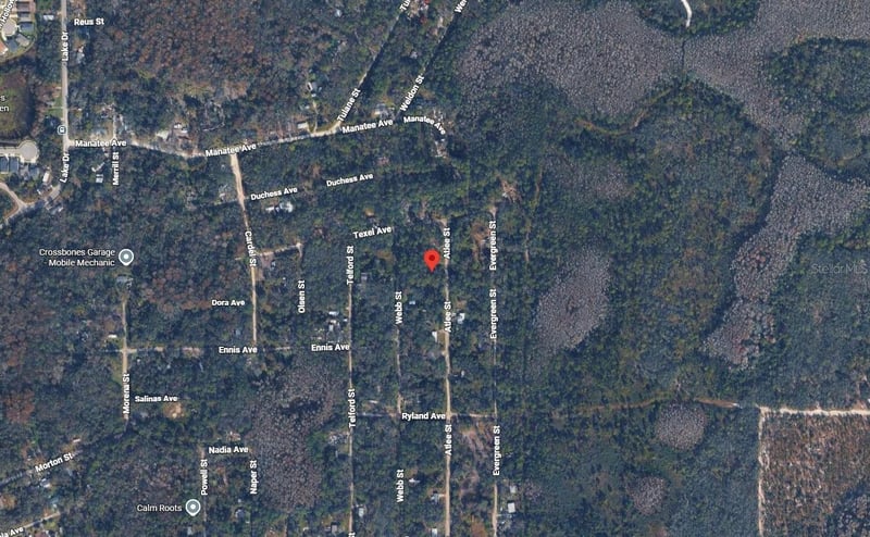 Atlee St, New Port Richey, FL 34654