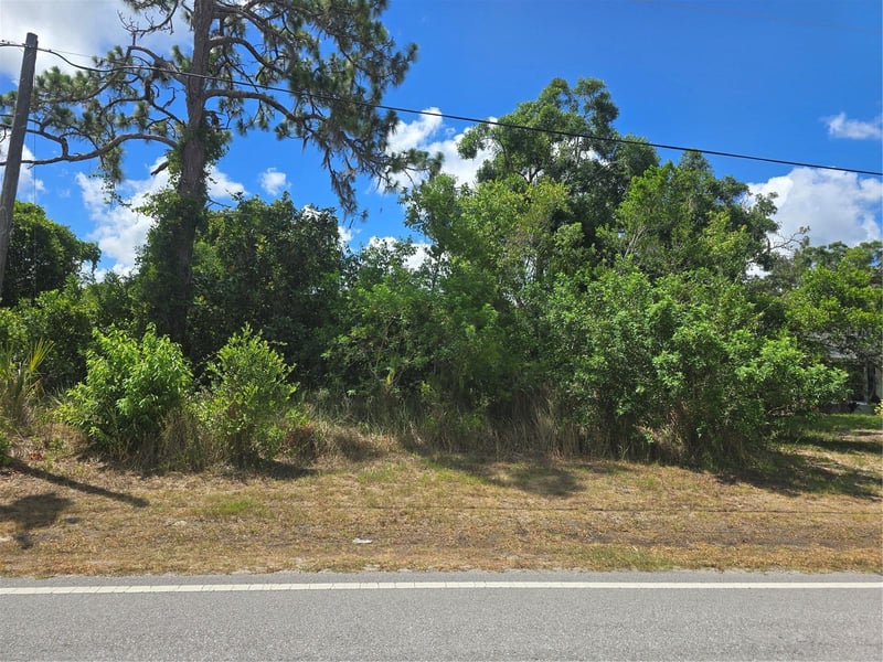 Lacey Dr, New Port Richey, FL 34654