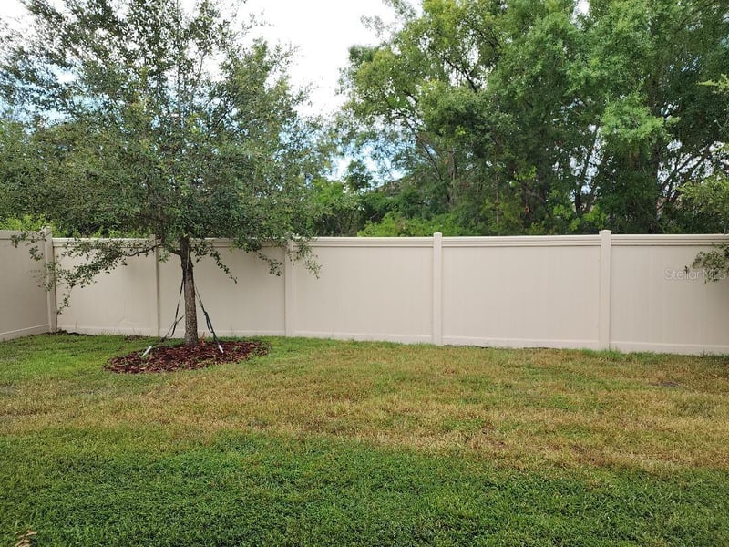 31420 Tansy BEND, Wesley Chapel, FL 33545