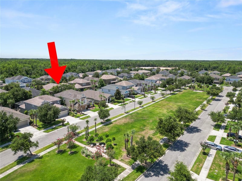 8775 Sentiero Dr, Land O Lakes, FL 34637