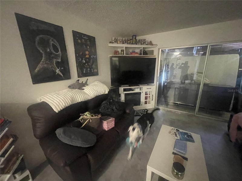 5245 Amulet Dr #208, New Port Richey, FL 34652