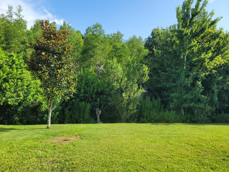 21613 Southern Charm Dr #DR, Land O Lakes, FL 34637