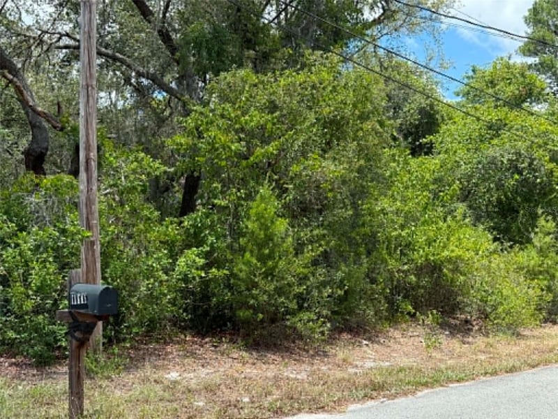 10051 Waddell St, New Port Richey, FL 34654