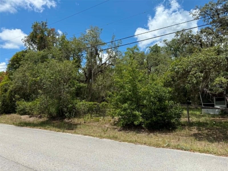10051 Waddell St, New Port Richey, FL 34654