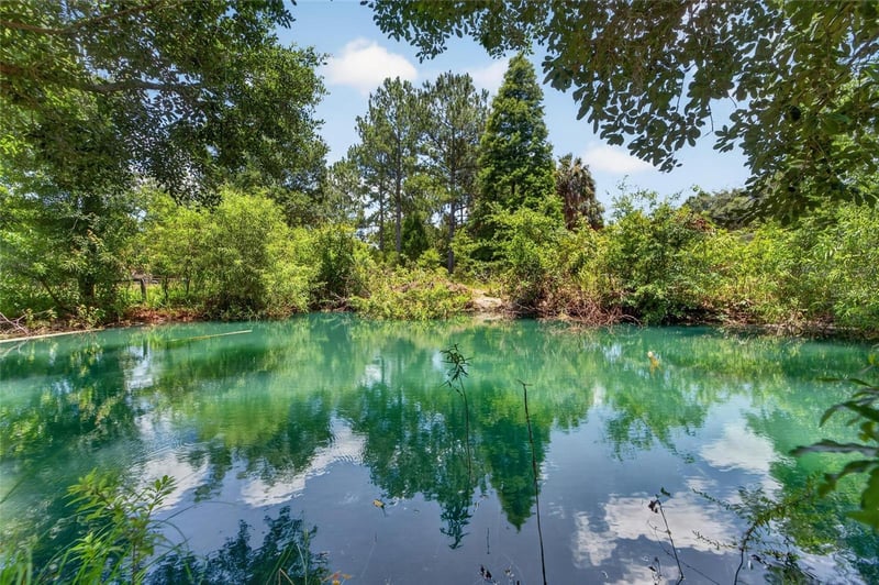 1205 Crystal Springs Rd, Zephyrhills, FL 33540