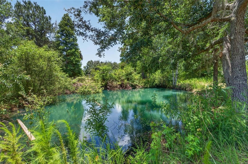 1205 Crystal Springs Rd, Zephyrhills, FL 33540