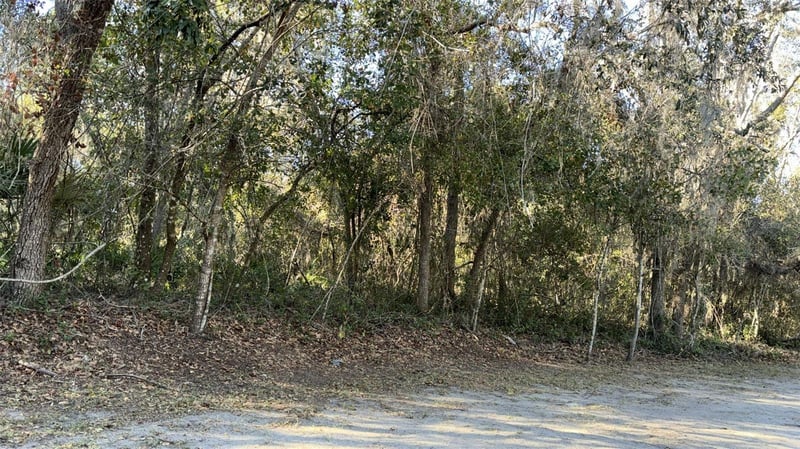 ounty/barrett, New Port Richey, FL 34654